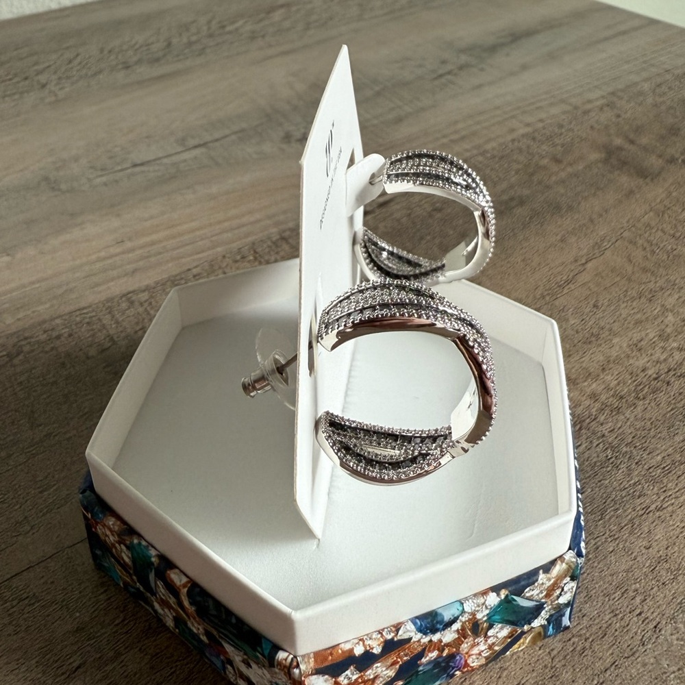 BP June 2025 Earrings - Picture 3 of 6